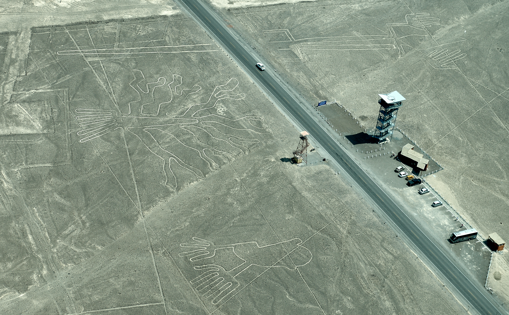 20200305 379 [페루] 나스카 라인